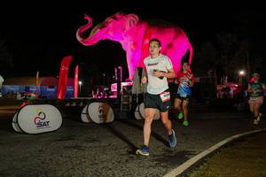 BIB: 
                            <button type="button" onclick="openModal(26534720)" class="btn btn-primary btn-sm float-right btn-popup" data-toggle="modal" data-target=".modal-high-quality">
                        <i class="fas fa-shopping-cart"></i> Add to Cart
                    </button>
                                            <button type="button" onclick="isThisMe(26534720, true)" class="btn btn-success btn-sm float-right btn-popup btn-isme hidden" data-toggle="tooltip" data-placement="bottom" title="นี่คือรูปของคุณใช่ไหม คลิกที่นี่เพื่อเอาเข้าอัลบั้ม">
                        <i class="fas fa-plus"></i> Add to album
                    </button>
                    <button type="button" onclick="isThisMe(26534720, false)" class="btn btn-warning btn-sm float-right btn-popup btn-isnotme hidden">
                        <i class="fas fa-ban"></i> Remove from album
                    </button>